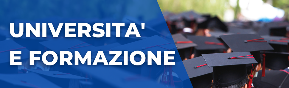 Ricerche_università_formazione_c1bf5
